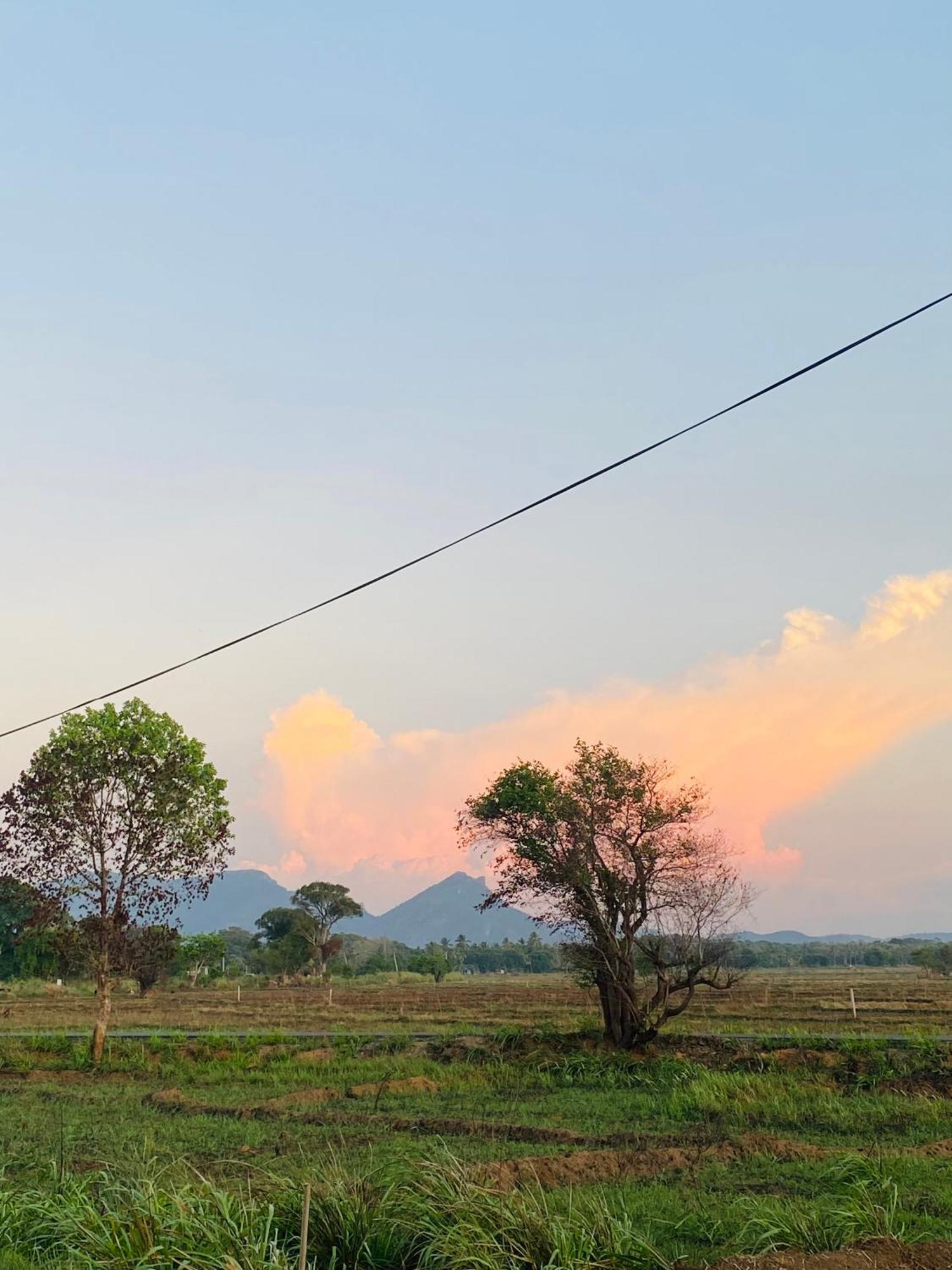 Hotel Hanguk Villa Dambulla Buitenkant foto