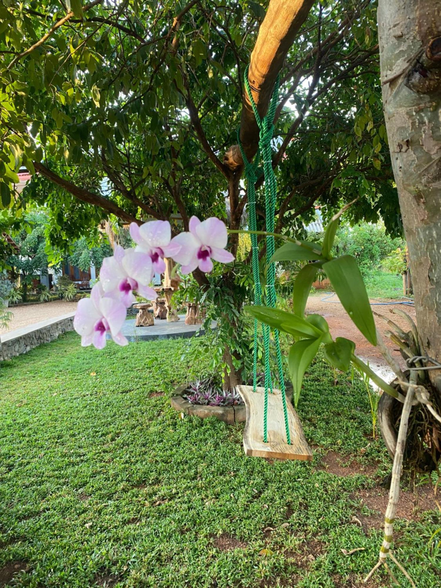 Hotel Hanguk Villa Dambulla Buitenkant foto